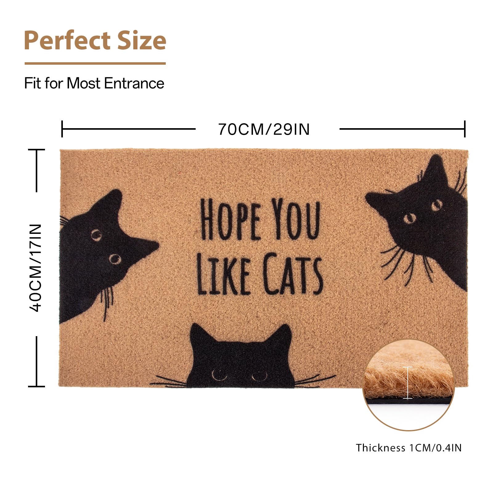 Outdoor entryway scene with Mahrokh doormat for porch or doorstep