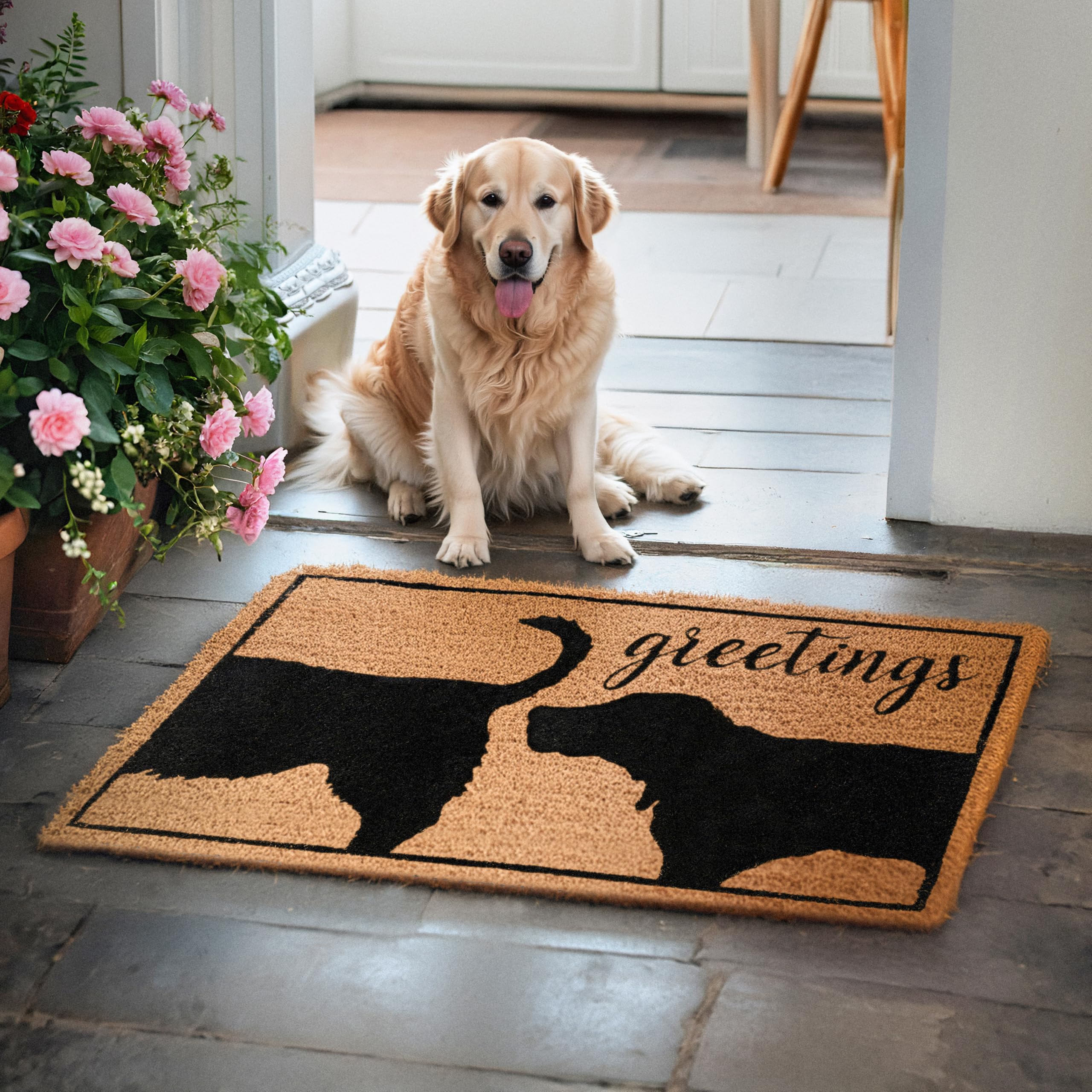 MAINEVENT dog welcome mat for covered outdoor areas with non-slip backing.