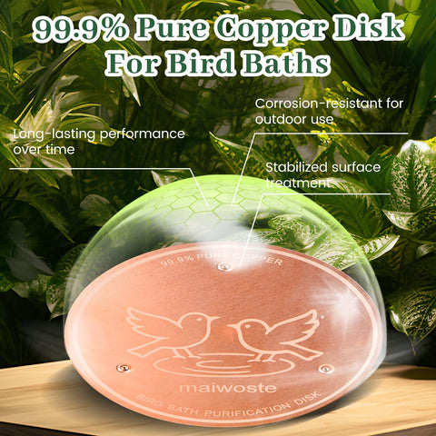 maiwoste Low-maintenance copper disk for birdbaths with no parts to replace.