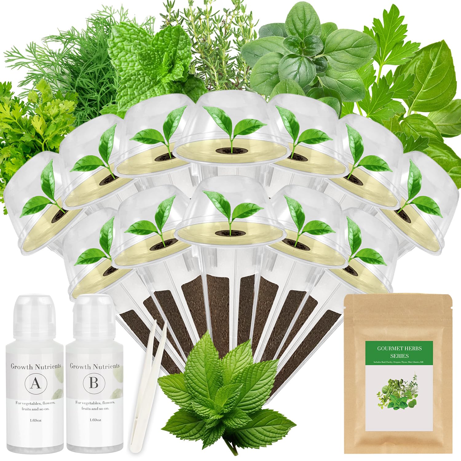 Majero Gourmet Herbs Seed Pod Kit overview for universal compatibility in hydroponics