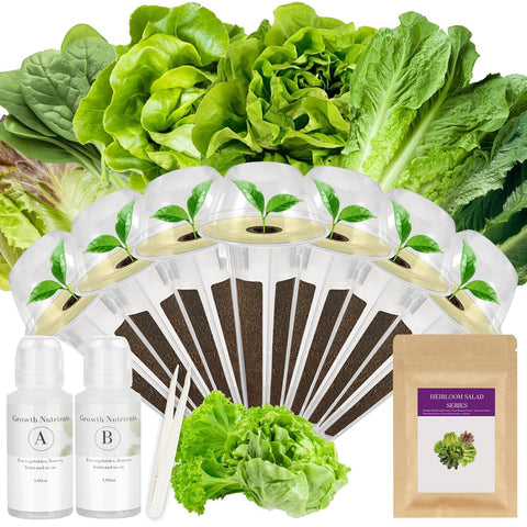 Majero Salad Greens Seed Pod Kit with AeroGarden setup for crisp lettuce.