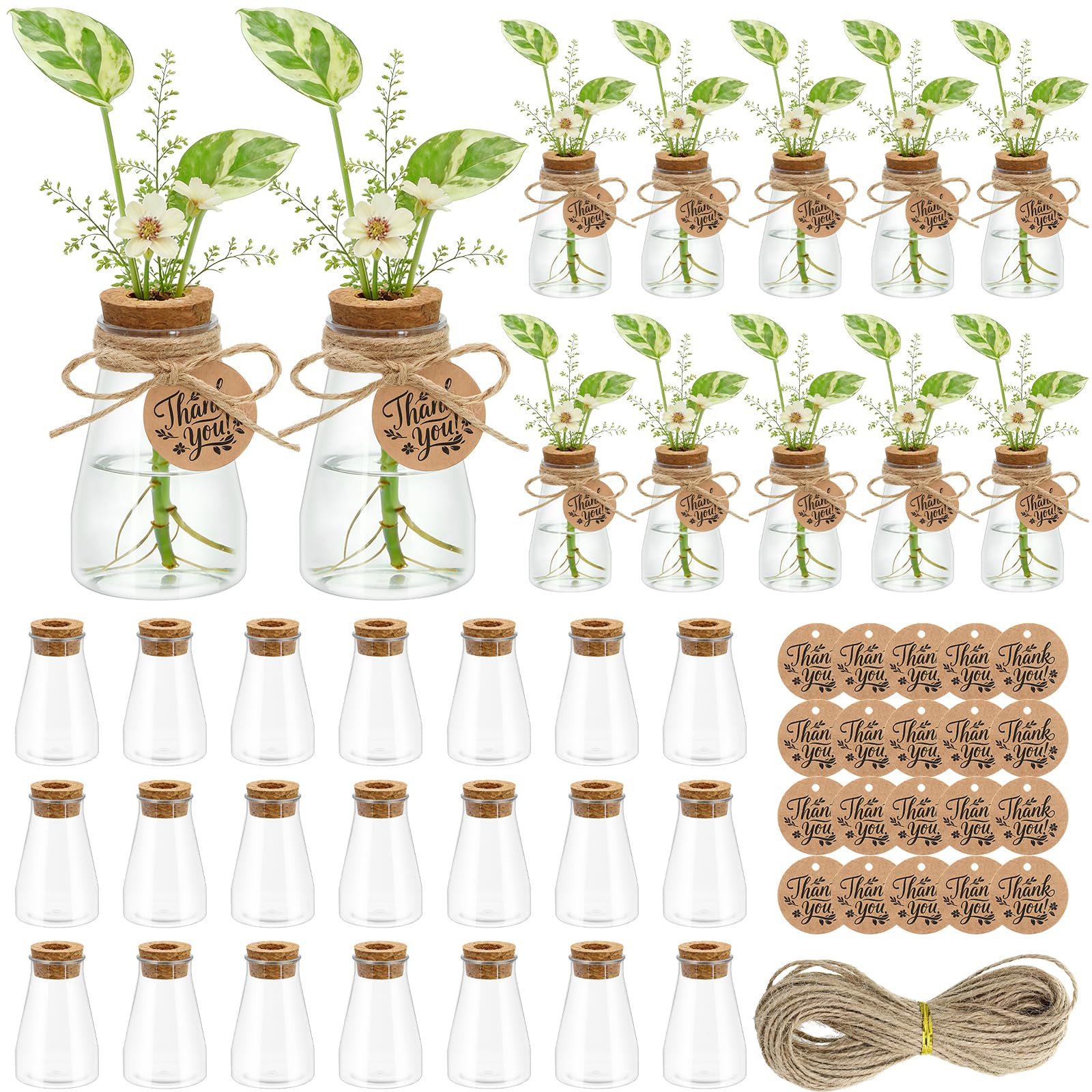 Majhulla propagation jar with clear vase shows roots and water level at a glance.