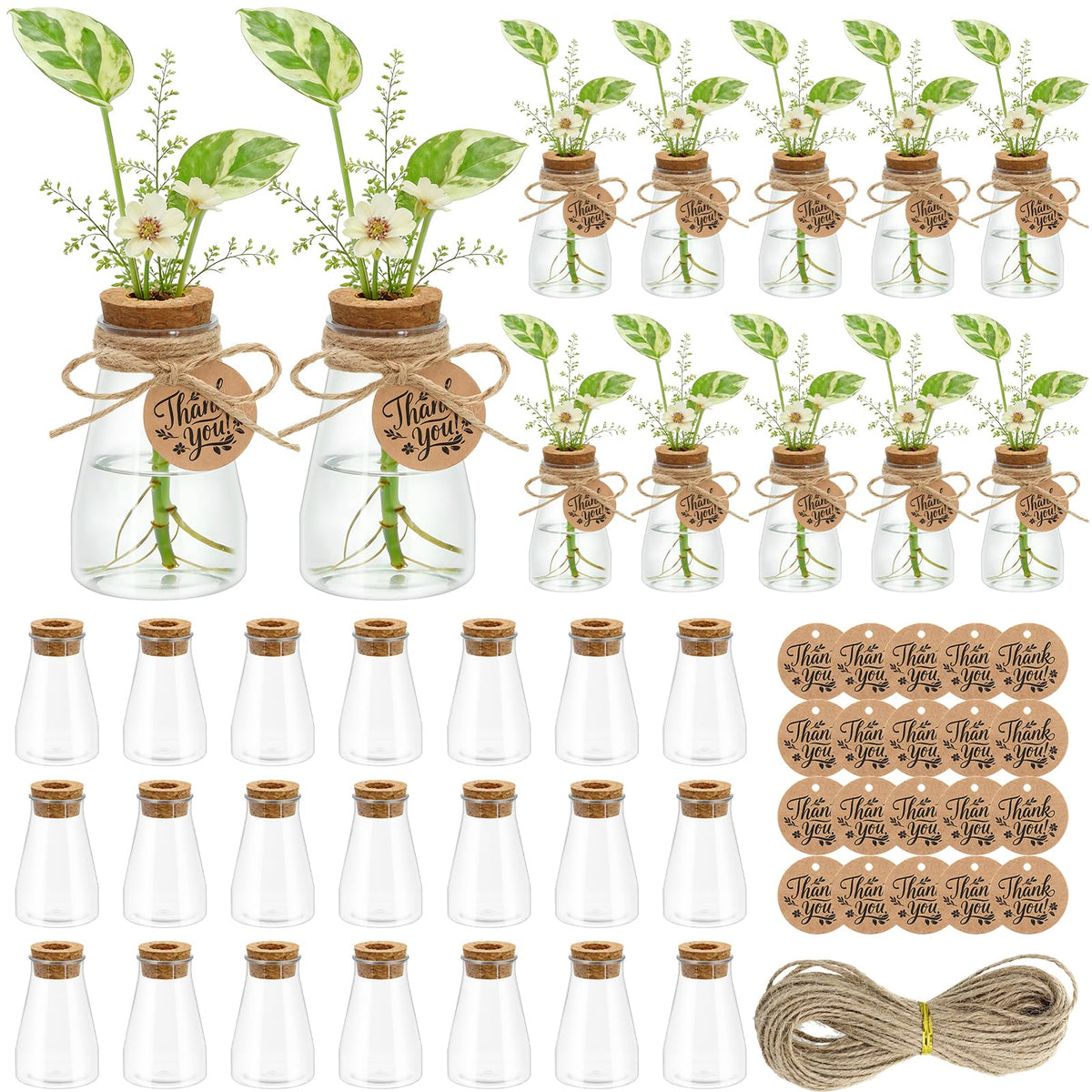 Majhulla propagation jar with clear vase shows roots and water level at a glance.