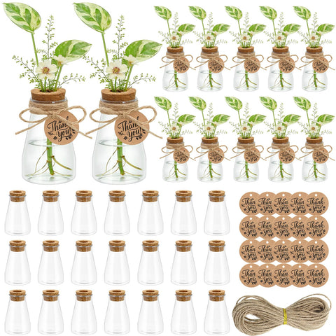 Majhulla propagation jar with clear vase shows roots and water level at a glance.