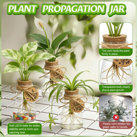 Majhulla labeling tag helps track planting dates for easy care planning.