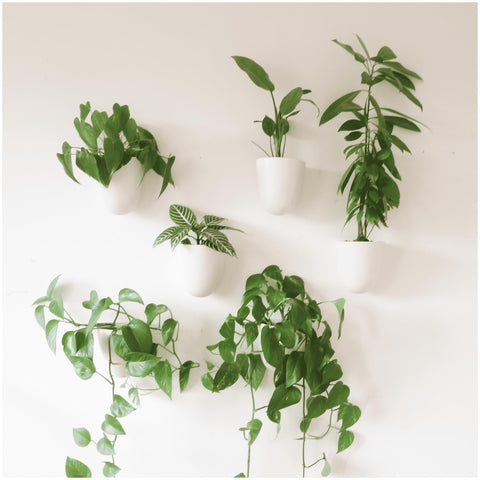Make Good PlantPod Luxe front view showing sleek, space-saving self-watering wall planters.