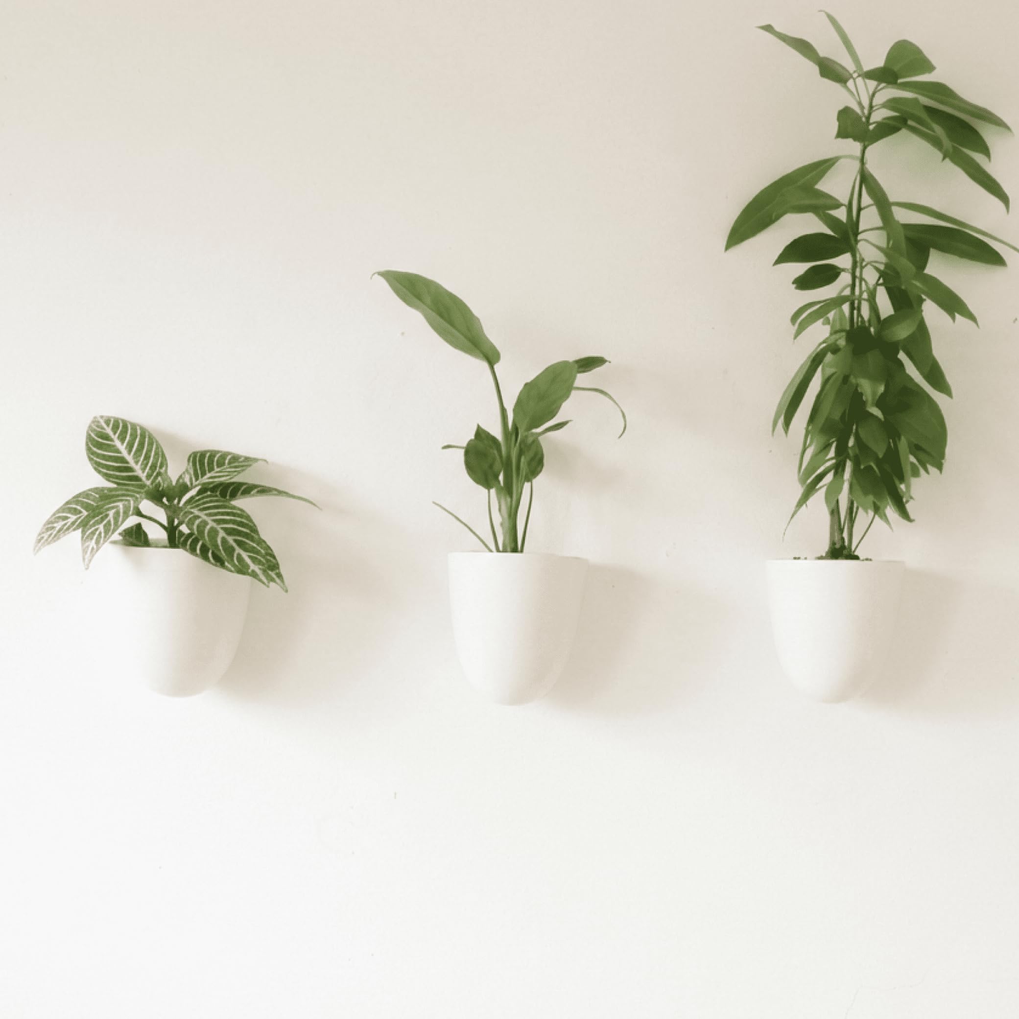 Make Good PlantPod Luxe set mounted on wall for space-saving vertical garden