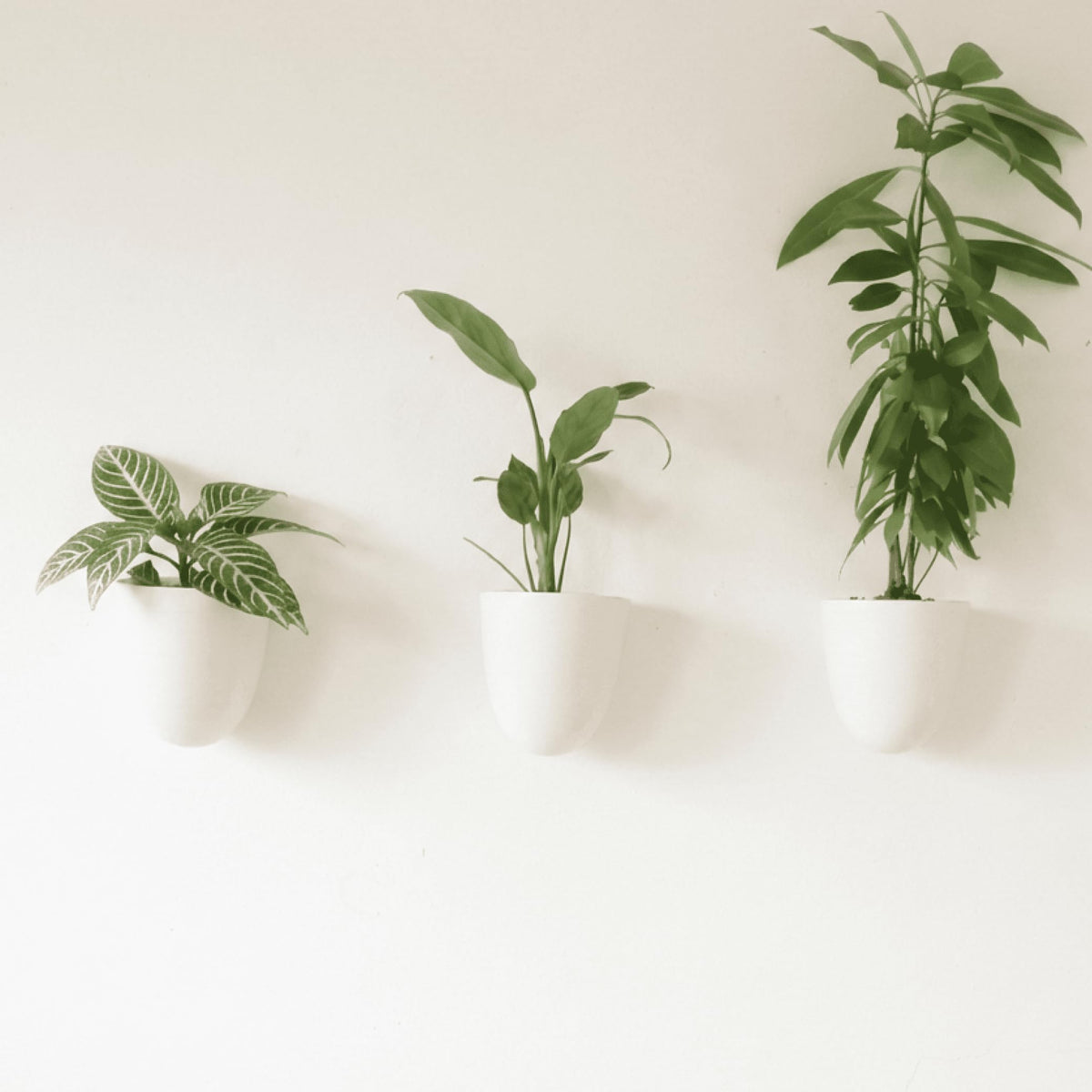 Make Good PlantPod Luxe set mounted on wall for space-saving vertical garden