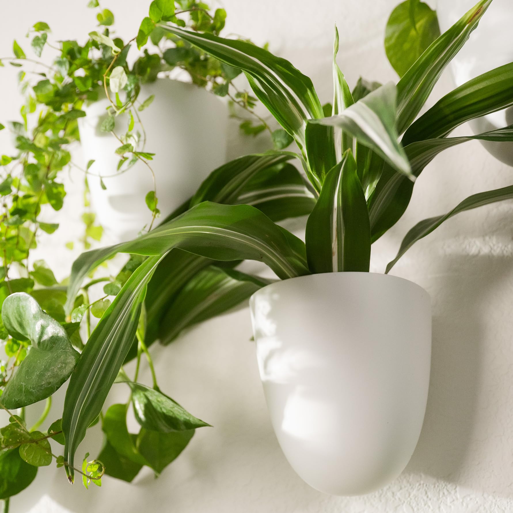 Make Good PlantPod Classic installation easy with minimal wall impact