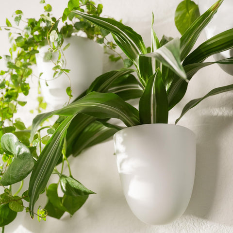 Make Good PlantPod Classic installation easy with minimal wall impact