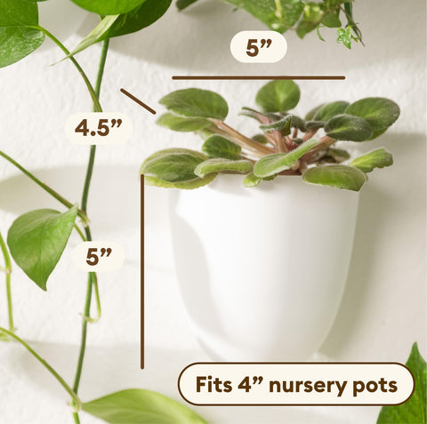 PlantPod Classic wall mount detail demonstrates simple nail installation