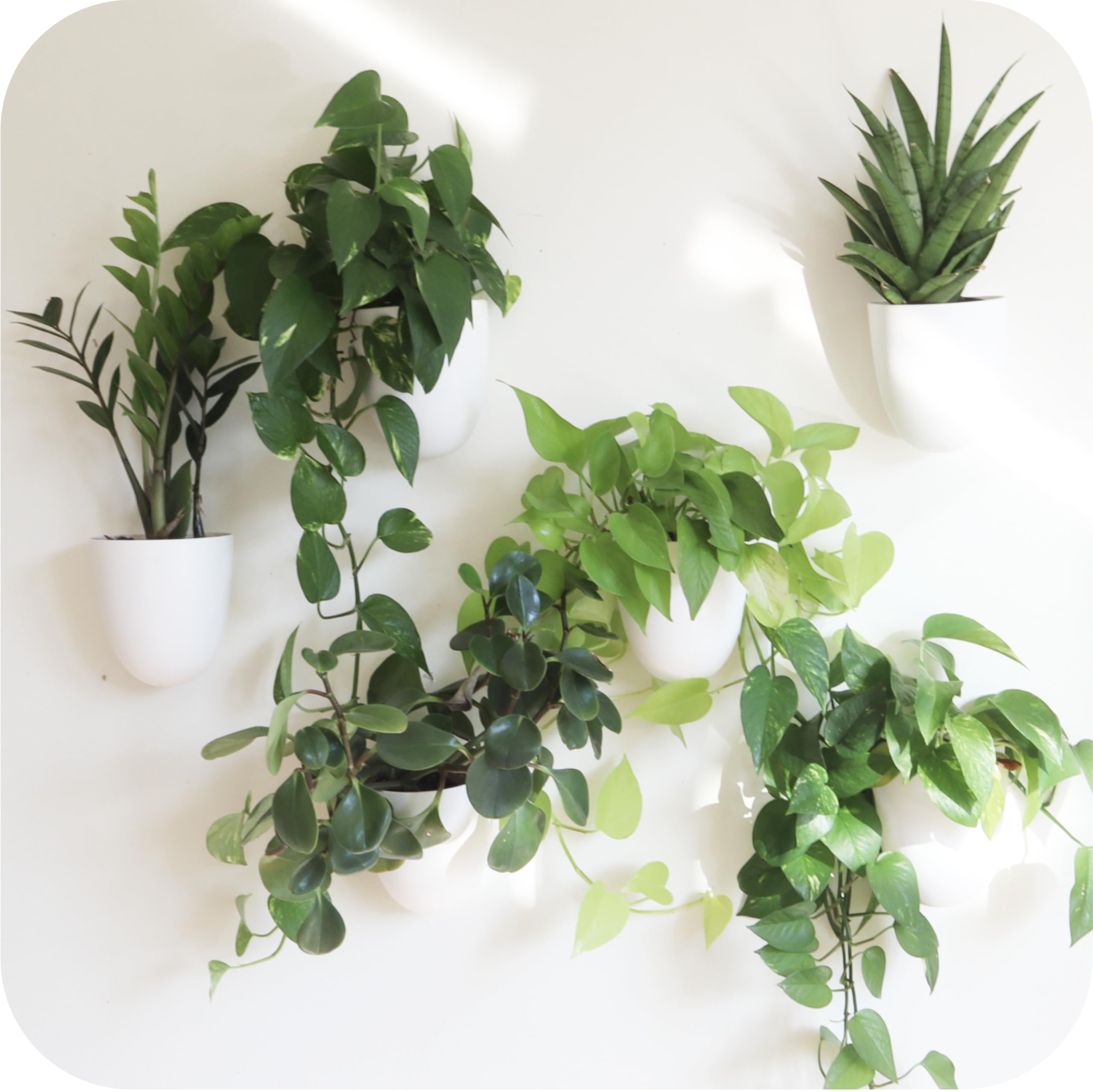Make Good PlantPod Classic wall planter setup showing compact vertical garden for small spaces