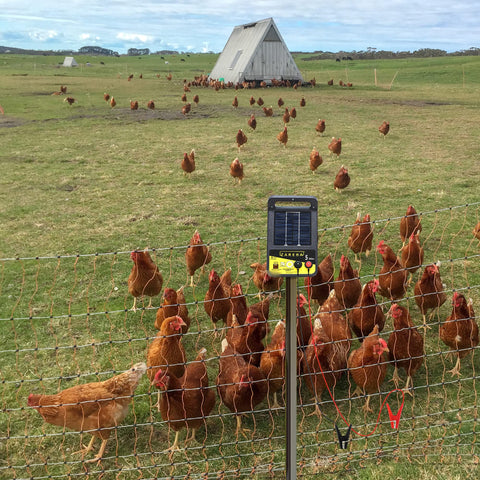 Makevivi safety-conscious grounding kit reduces stray animal intrusions.