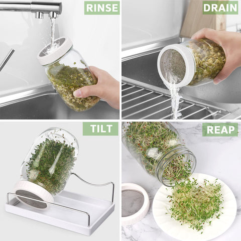 Malastar drip tray catches excess water for a mess-free setup.