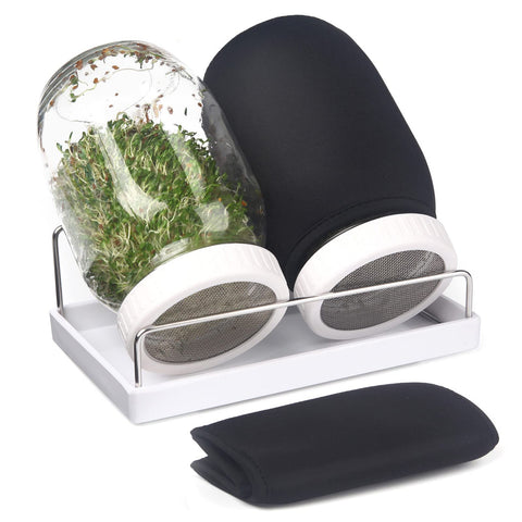 Malastar sprouting kit with 32oz wide-mouth jar for easy home sprouts.