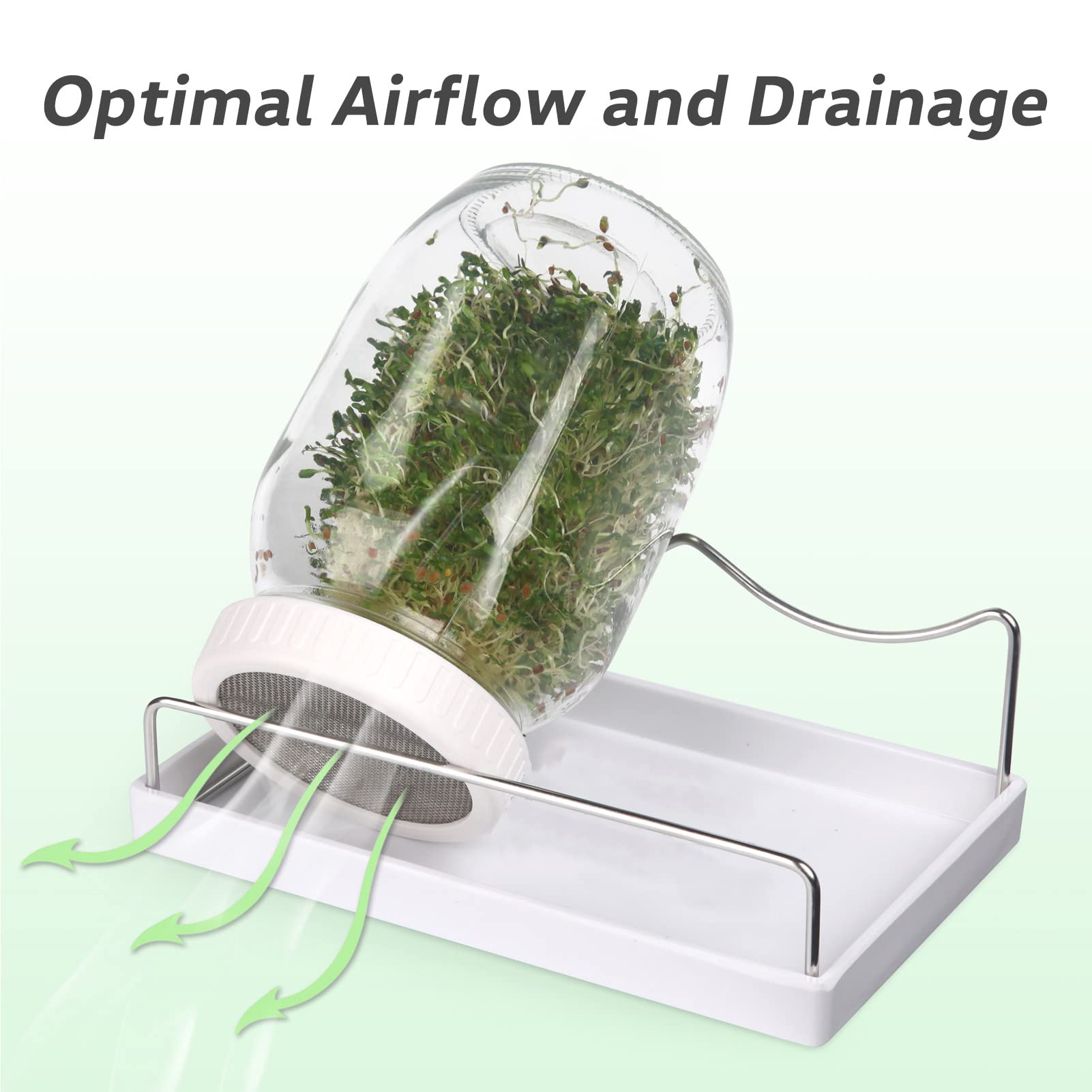 Malastar stable sprouting stand optimizes airflow and drainage during sprouting.