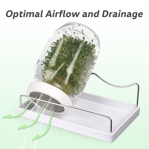 Malastar stable sprouting stand optimizes airflow and drainage during sprouting.