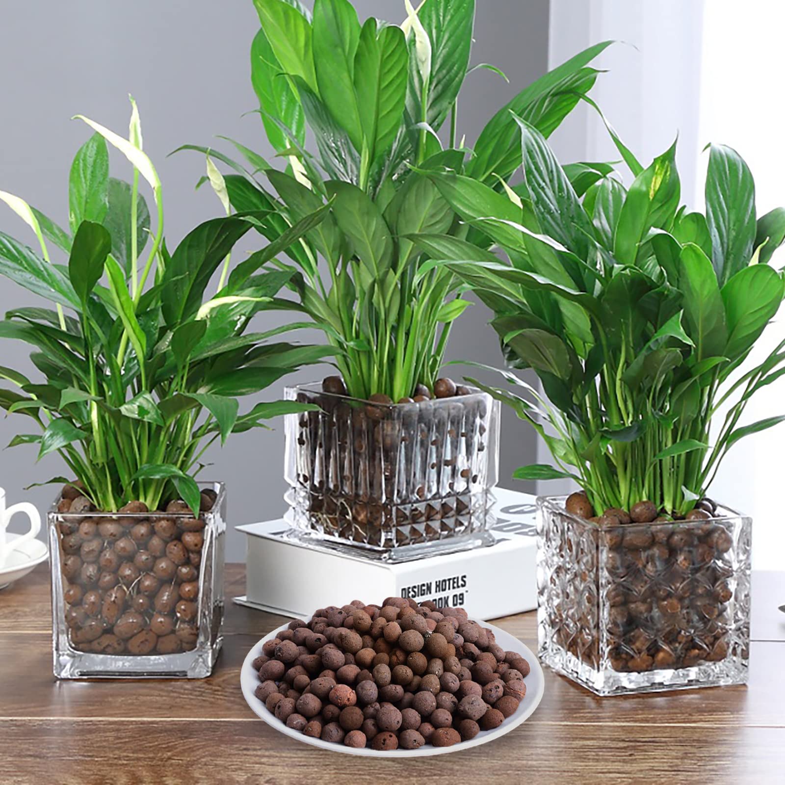 Malifea leca pebbles in a mixed media setup enhance water retention and nutrient availability.