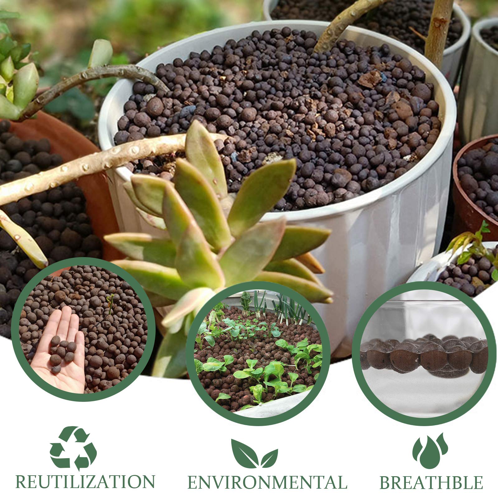 Indoor garden with Malifea Leca pebbles illustrating tidy, odor-free setup