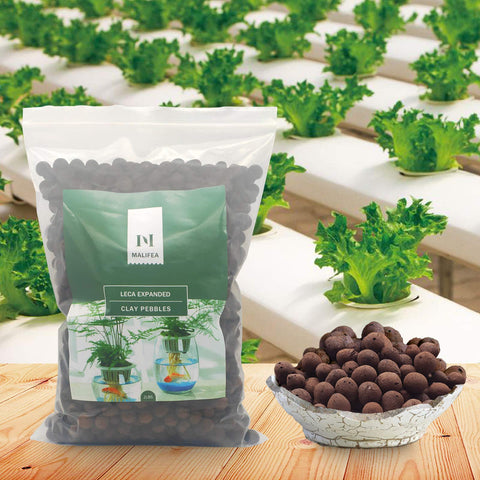 Malifea Leca hydroponics setup showing efficient root aeration.