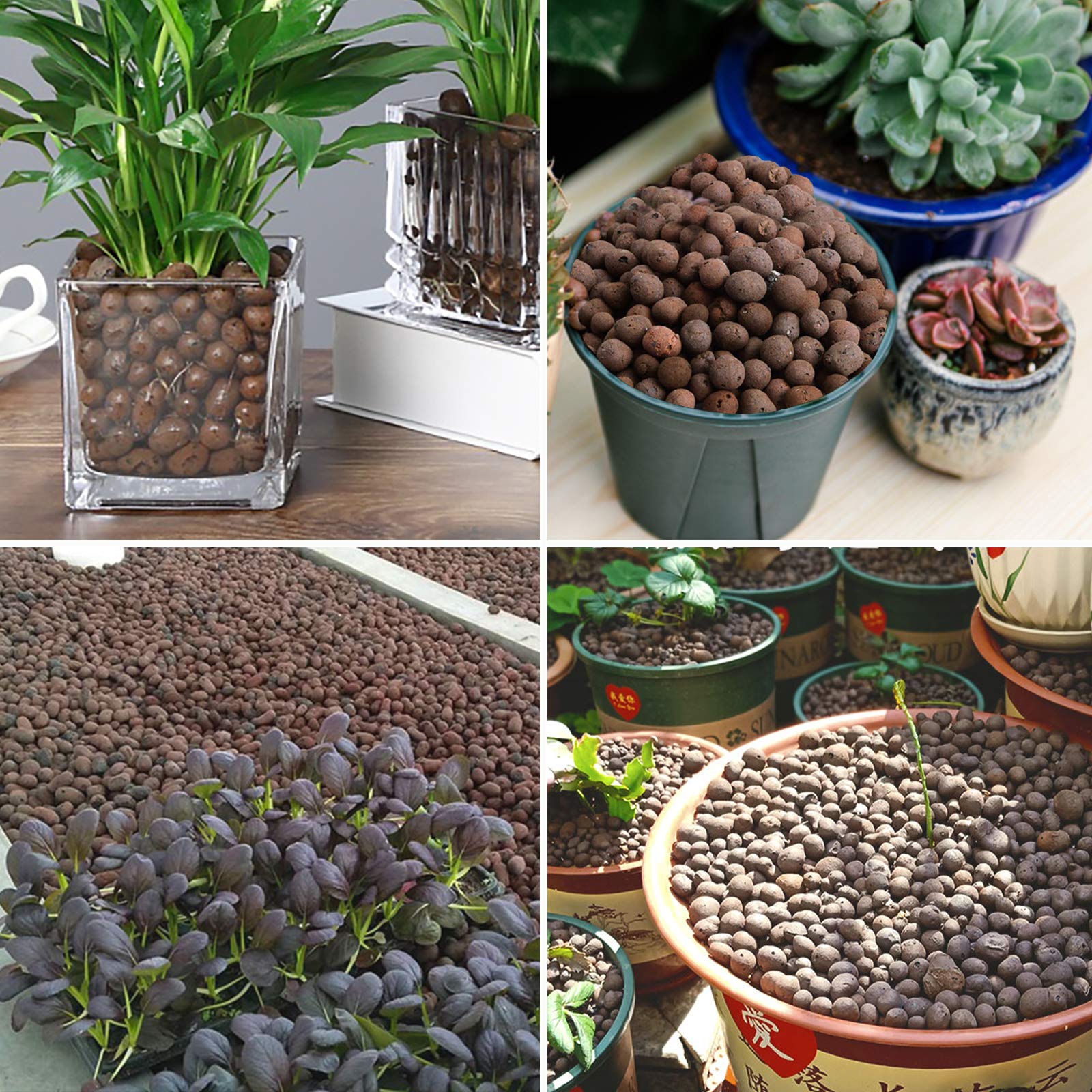 Malifea Leca demonstrates water and nutrient storage for roots.