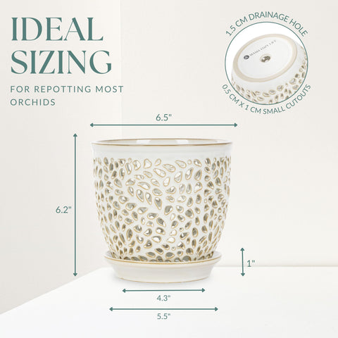 Mama Cozy Life aerated design holes ensure proper airflow for orchid health