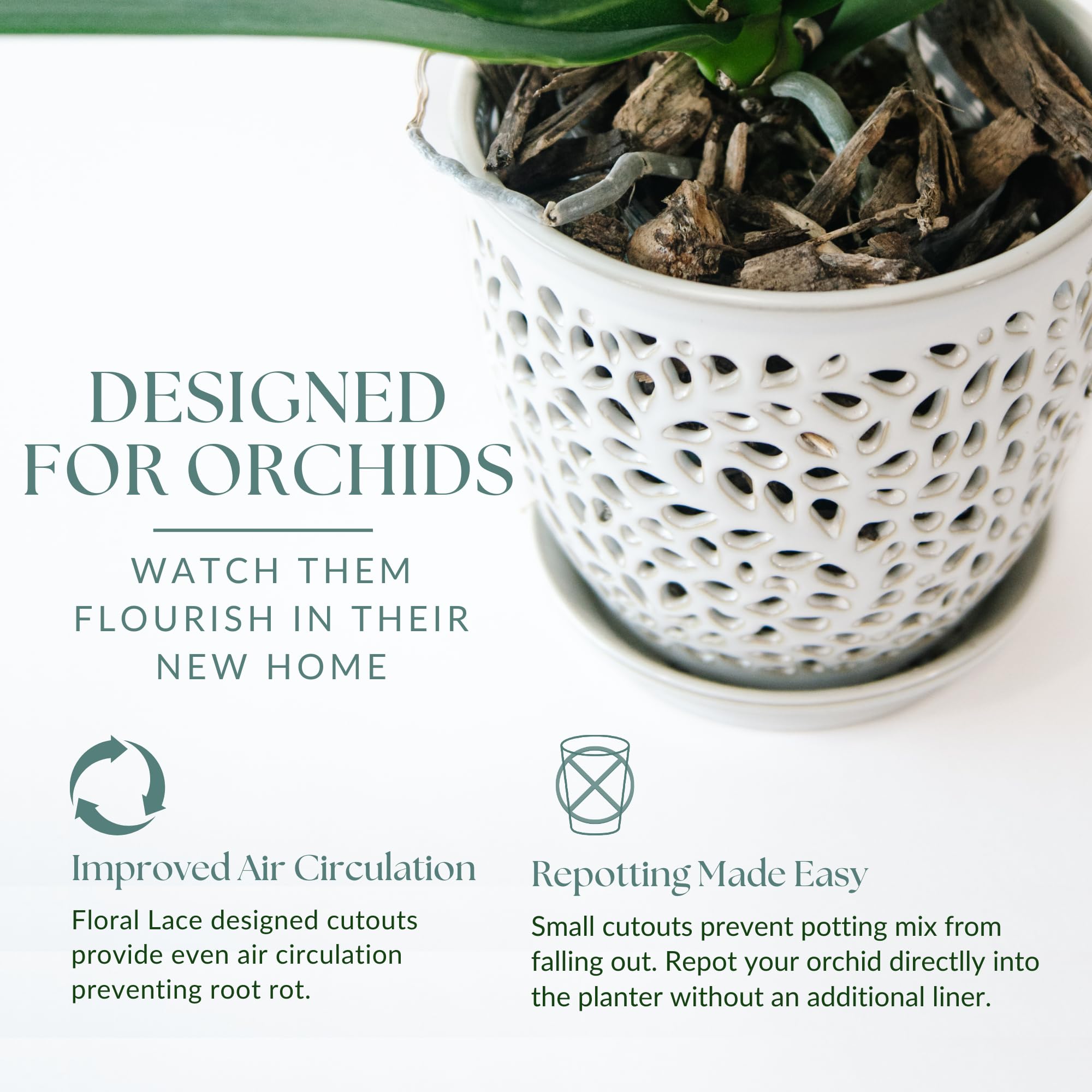 Mama Cozy Life ceramic planter with easy-clean tray supports simple maintenance after use