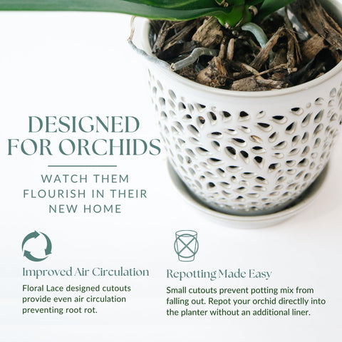 Mama Cozy Life ceramic planter with easy-clean tray supports simple maintenance after use