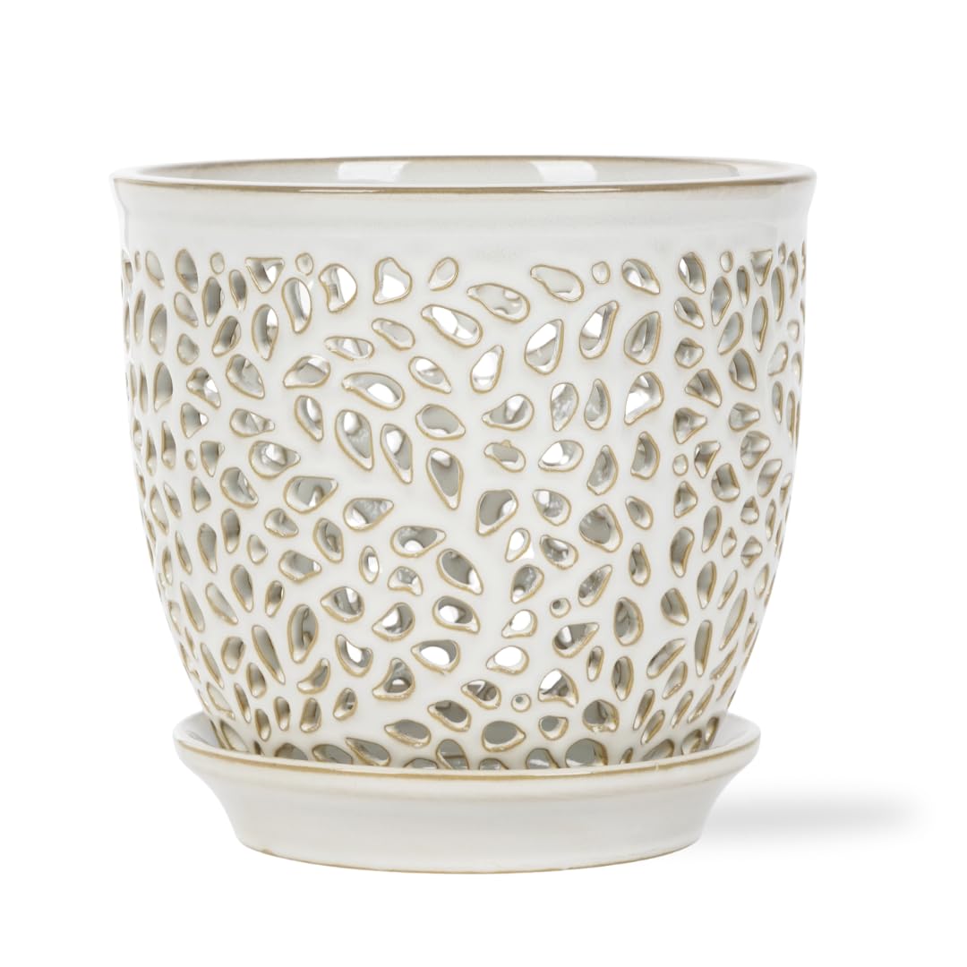 Mama Cozy Life Elegant Orchid Pot with holes promoting airflow for healthy orchid roots
