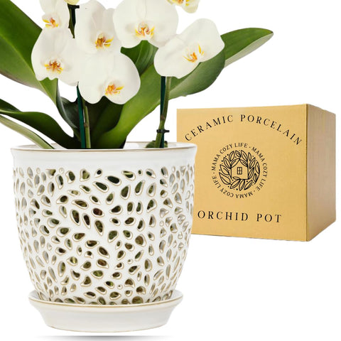 Mama Cozy Life premium porcelain orchid pot with 6.2 inch height provides sturdy, stylish repotting