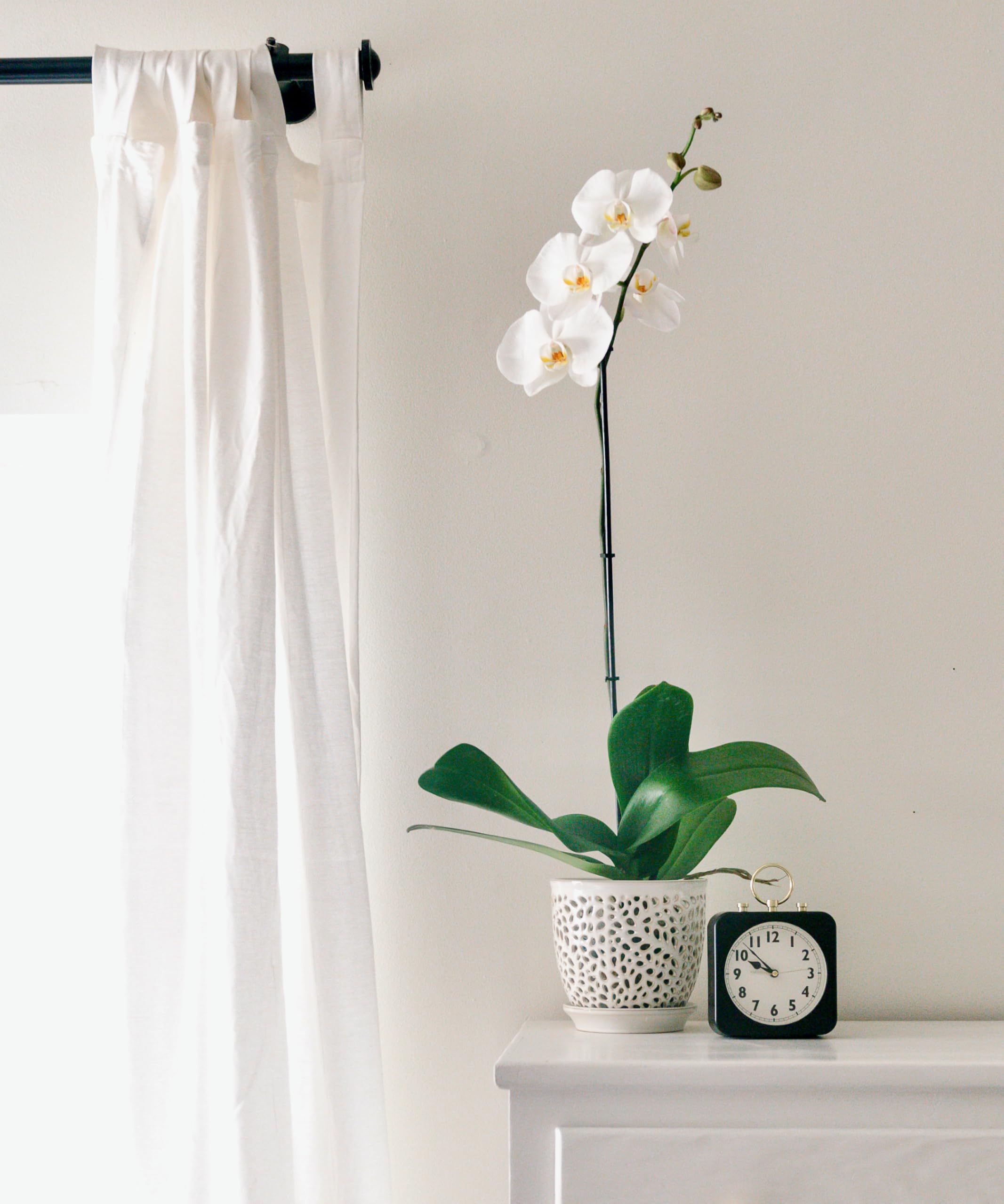 Mama Cozy Life orchid pot includes removable saucer for clean, mess-free drainage