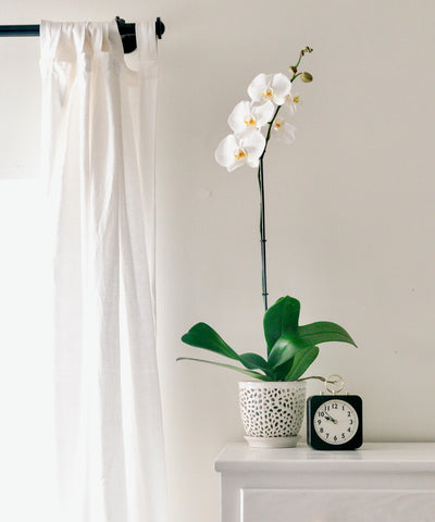 Mama Cozy Life orchid pot includes removable saucer for clean, mess-free drainage