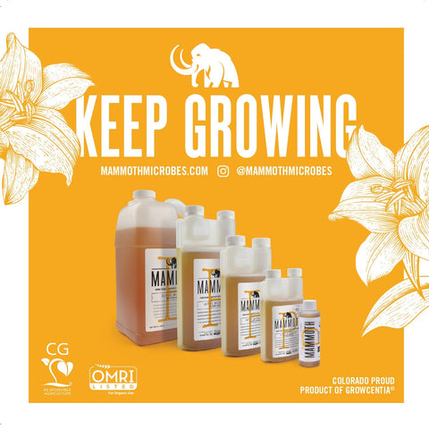 Mammoth Bloom Booster root application demonstrates rhizosphere support