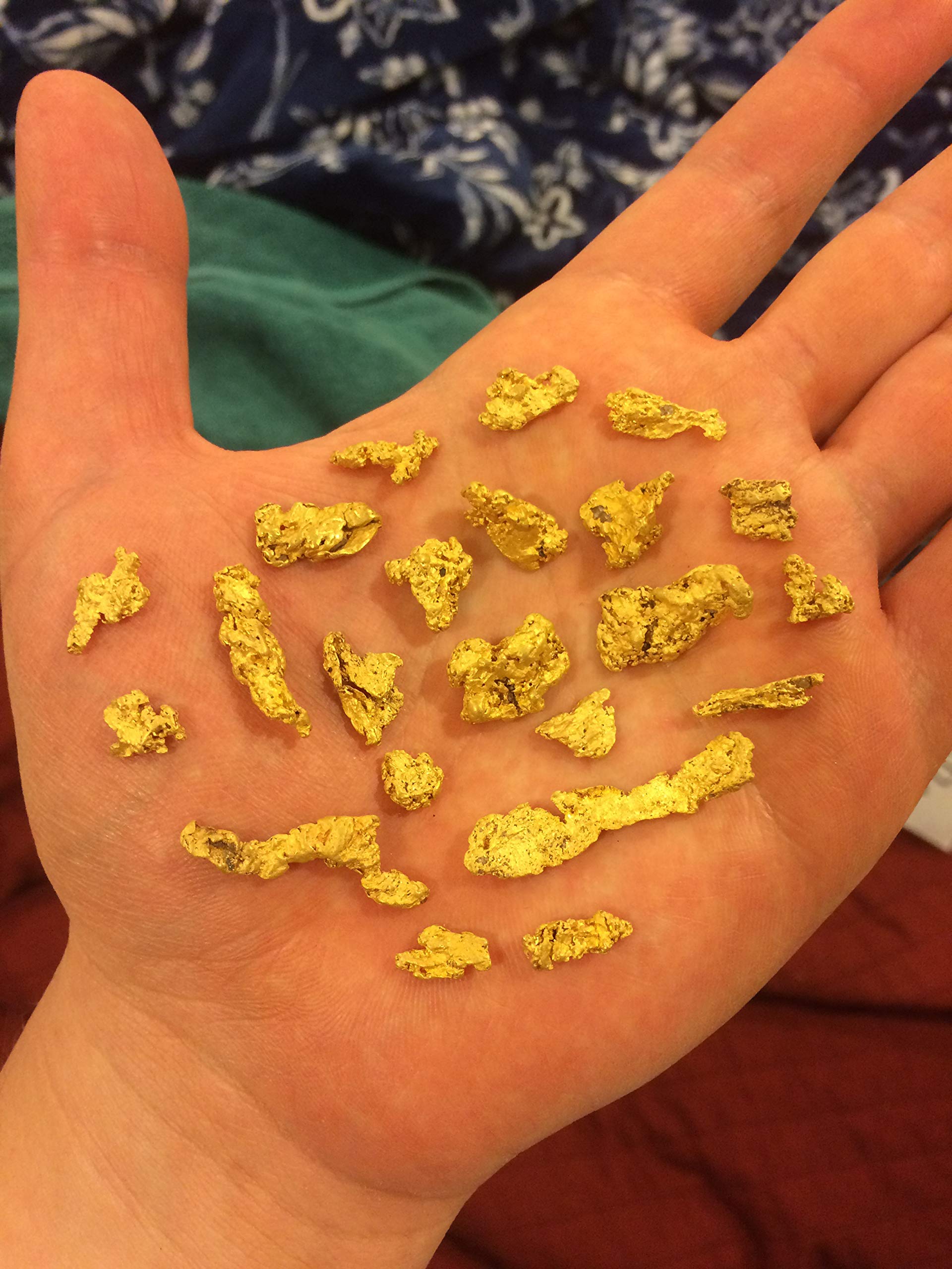 Mammoth Paydirt gold nuggets close-up highlighting potential treasure for beginners