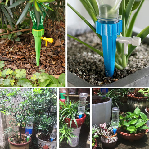 Mangoit holiday watering solution helps keep indoor plants hydrated during trips