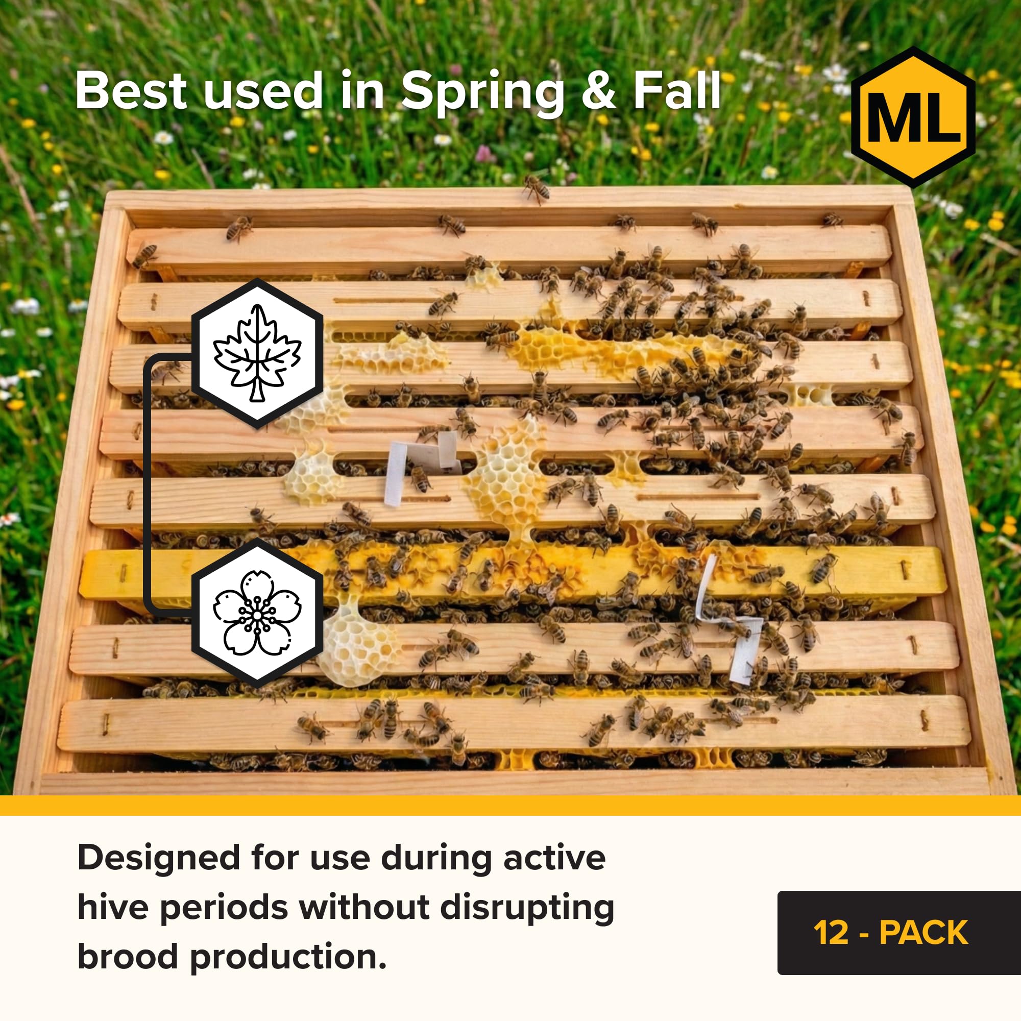 Mann Lake Apivar 2.0 strip in Langstroth hive for easy positioning