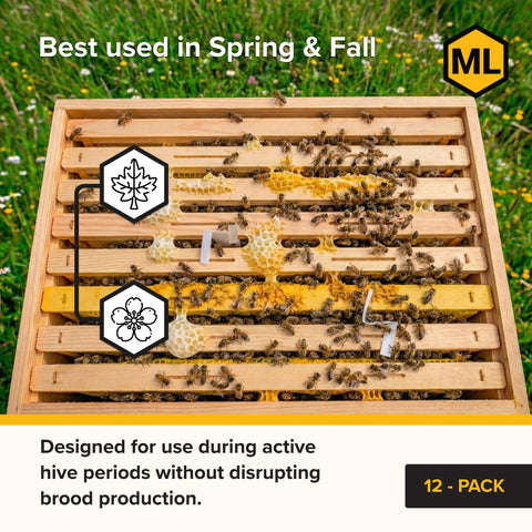 Mann Lake Apivar 2.0 strip in Langstroth hive for easy positioning