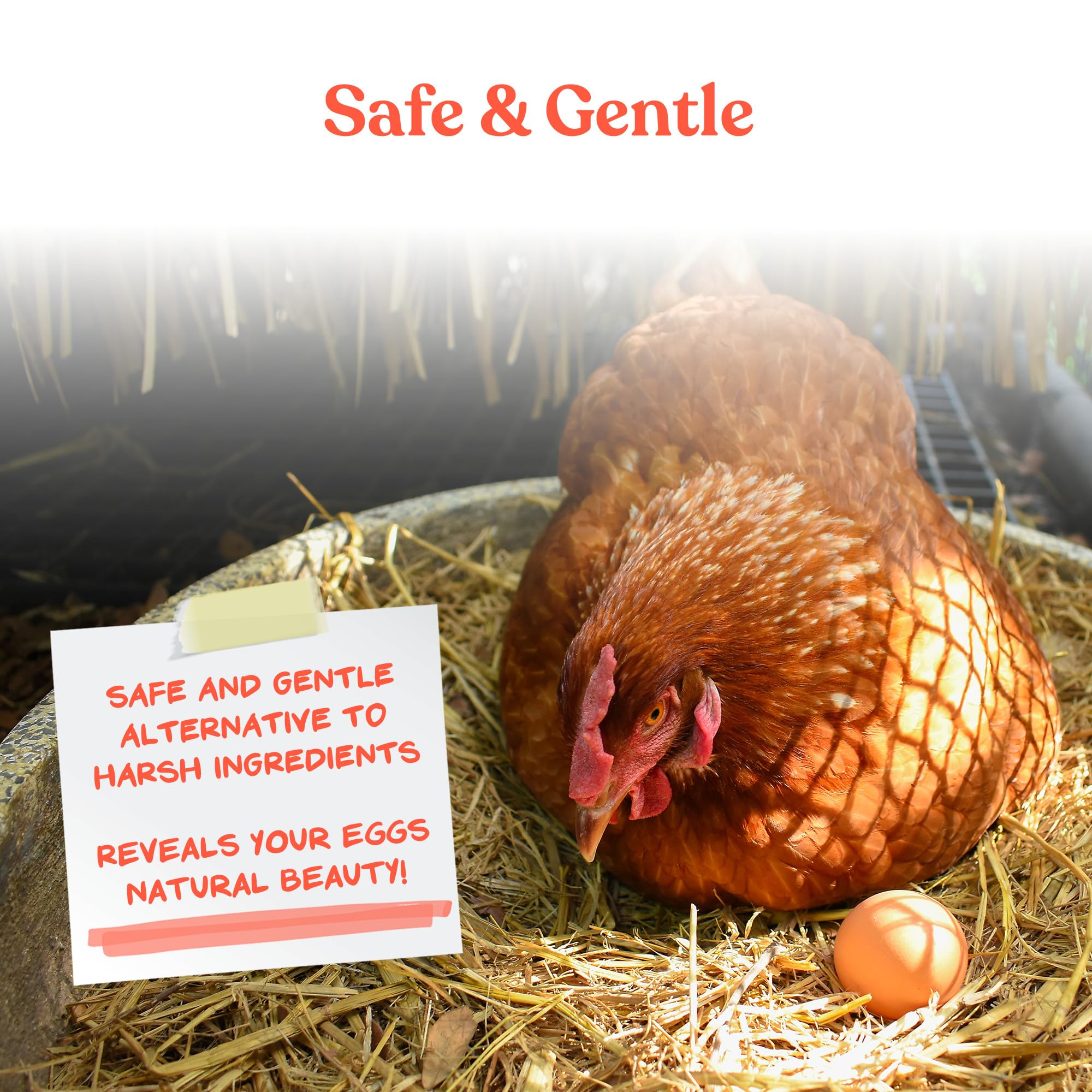 Manna Pro Egg Cleanser in use for egg cleaning, restoring natural shell appearance.