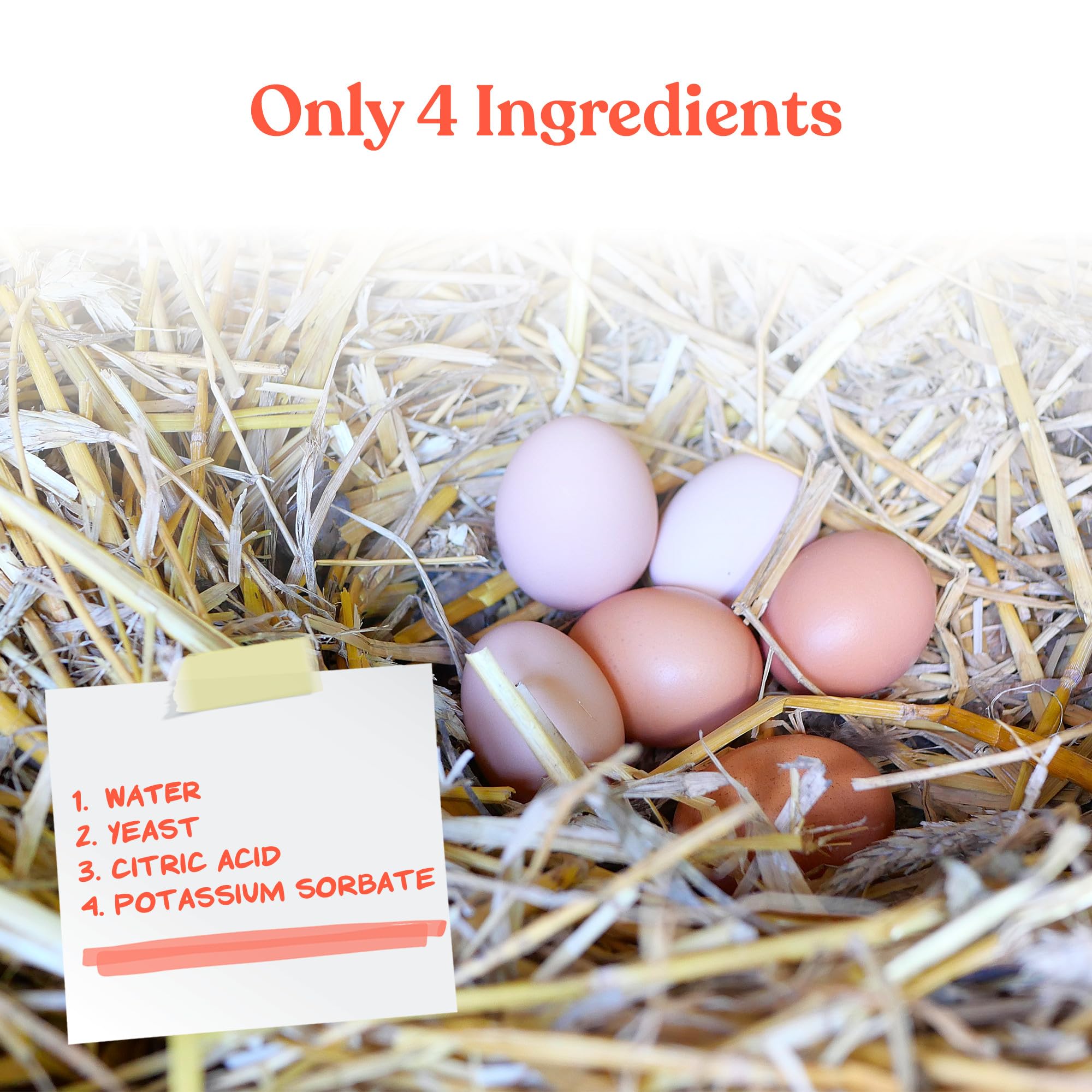 Manna Pro Egg Cleanser shell-detail close-up shows clean, smooth shells.