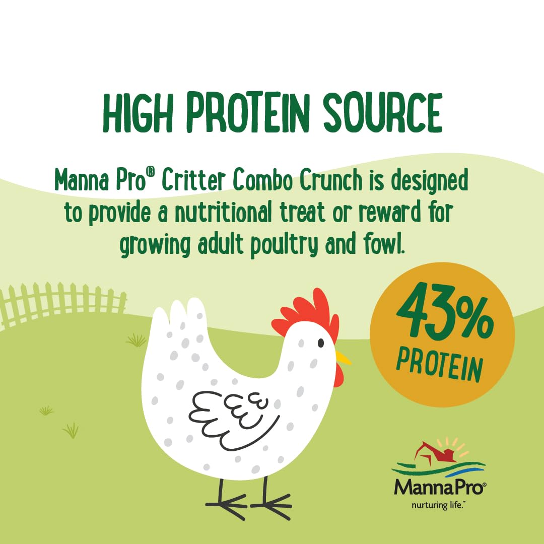 Chickens foraging while enjoying Critter Combo Crunch treats.