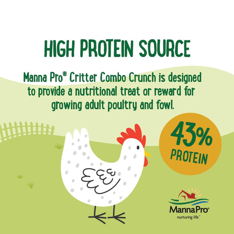 Chickens foraging while enjoying Critter Combo Crunch treats.