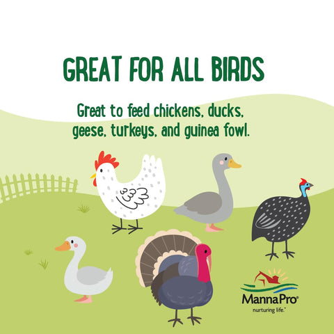 Poultry enjoying shrimp-based protein in Critter Combo Crunch.