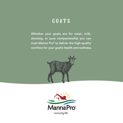 Manna Pro Goat Electrolyte mixing in water for simple preparation