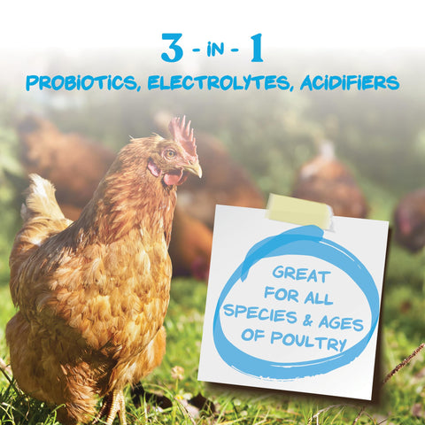 Manna Pro Hydro-Hen dissolves in water to quick hydrate poultry