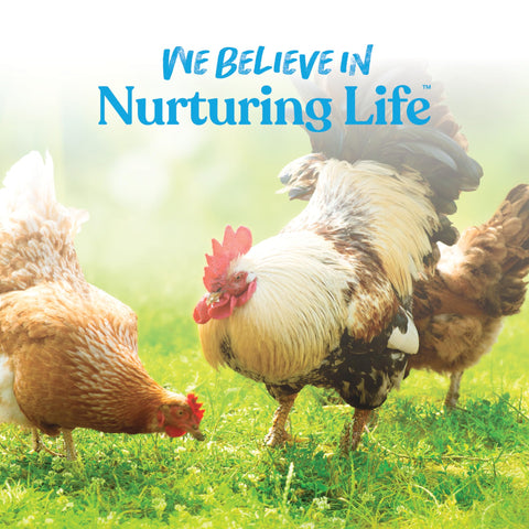 Manna Pro Hydro-Hen suitable for chickens, ducks, turkeys, and waterfowl
