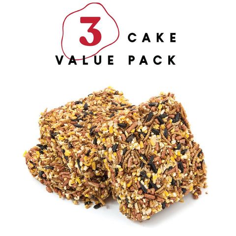 Manna Pro Mealworm Medley Cake for backyard birds, a satisfying snack that adds variety to their diet.