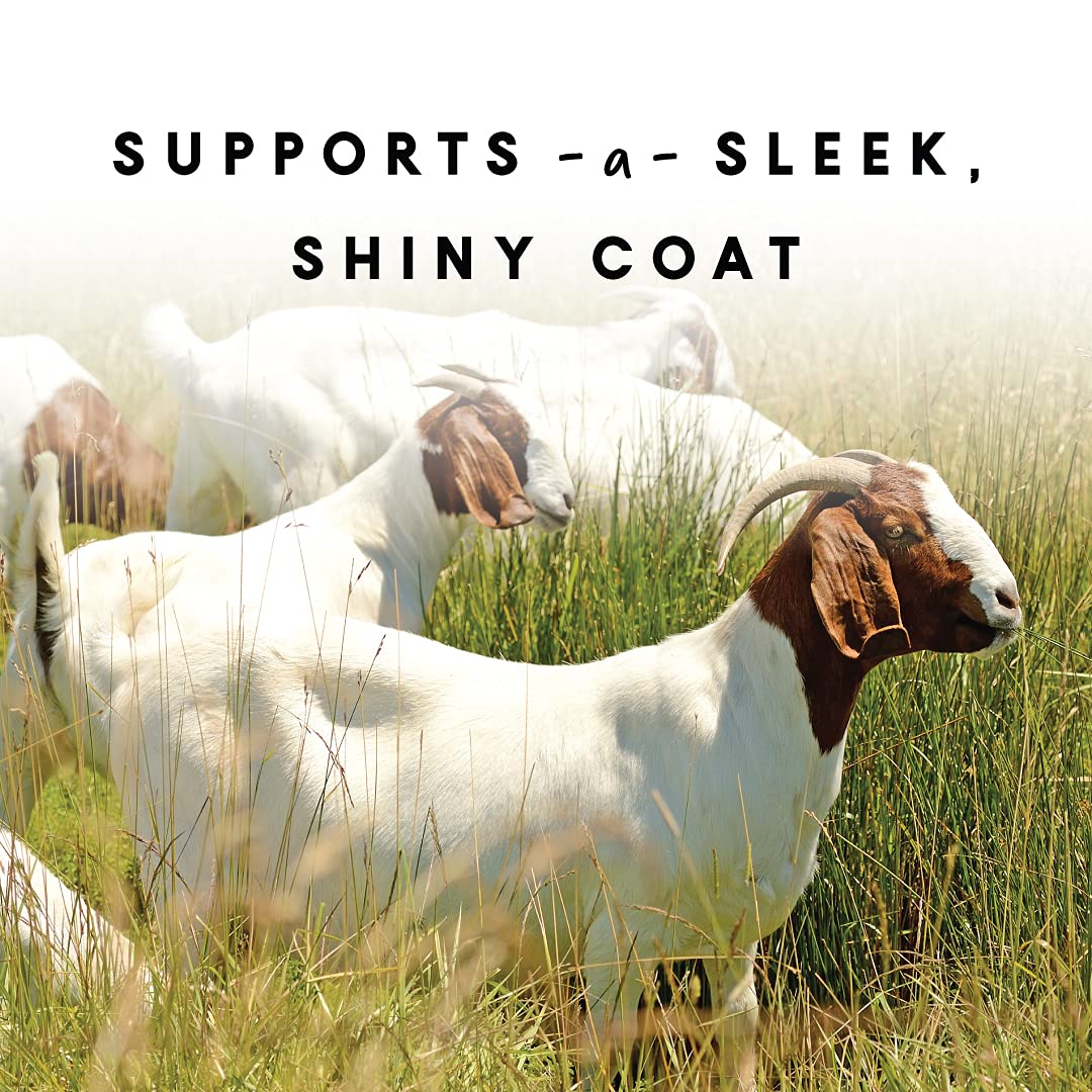 Manna Pro flaxseed formula closeup highlights omega-3 rich ingredients for coat shine.