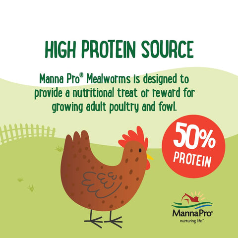 Manna Pro Farmhouse Favorites mealworms ideal for mixed flocks