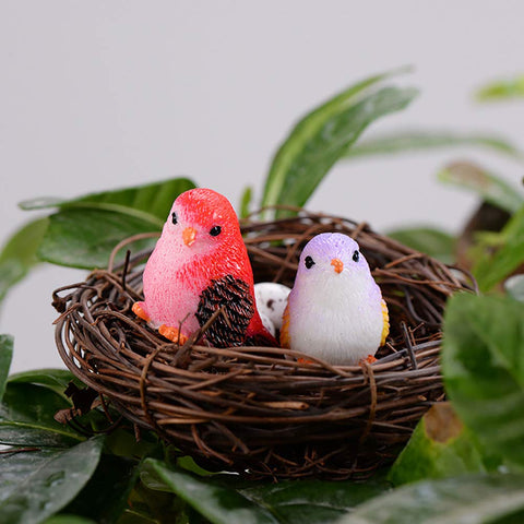MAOMIA miniature birds for shadowboxes bring life to display scenes.