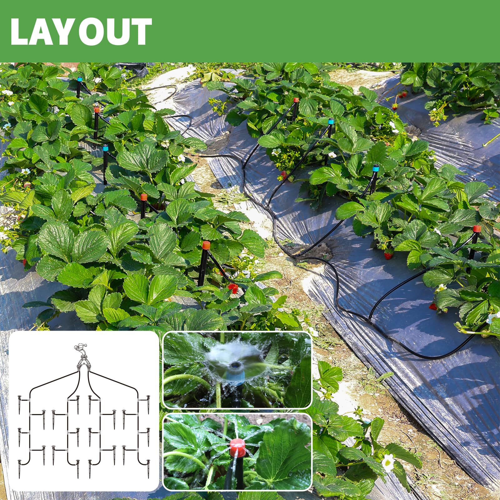 Maotong water-saving setup reduces runoff and evaporation in gardens